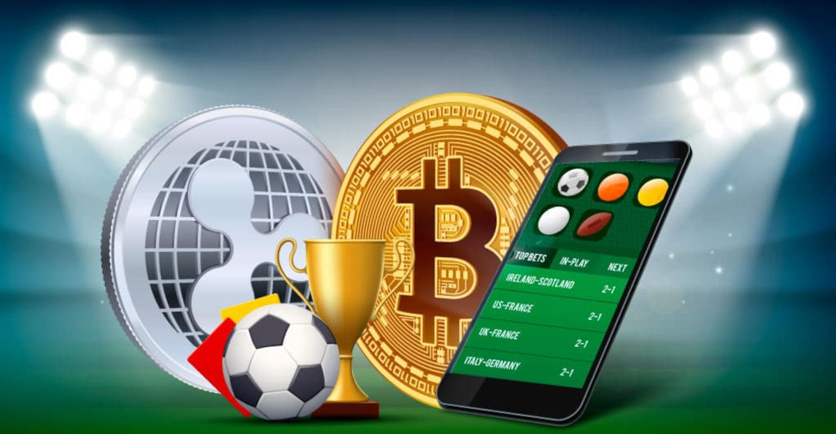 Exploring the World of Online Gaming with Safi Bet