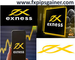 Exness For Trading A Comprehensive Overview Exness For Trading A Comprehensive Overview
